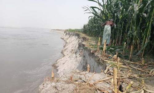 সুন্দরগঞ্জে তিস্তার ভাঙনে বিলিন হচ্ছে কৃষকের স্বপ্ন