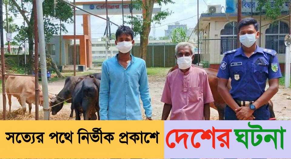 দেবীদ্বারে চোরাই গরুর হোতা শ্বশুরবাড়ির জামাইসহ আটক -২ 