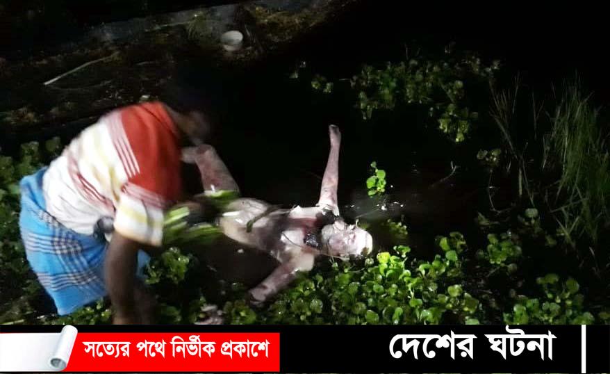 মুরাদনগরে ডোবা থেকে বৃদ্ধের লাশ উদ্ধার