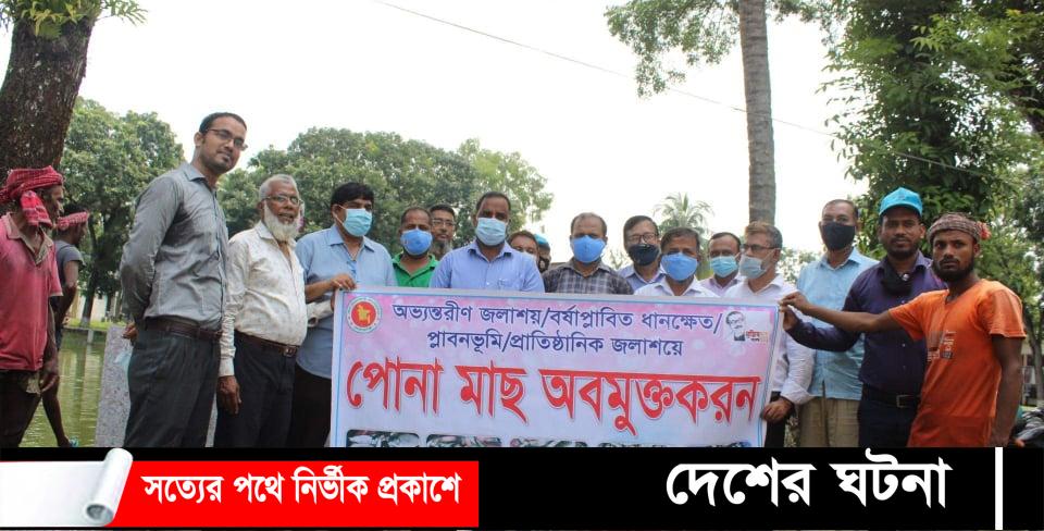 দেবীদ্বারে ৭টি পুকুরে ৪২৭ কেজি মাছের পেনা অবমুক্ত