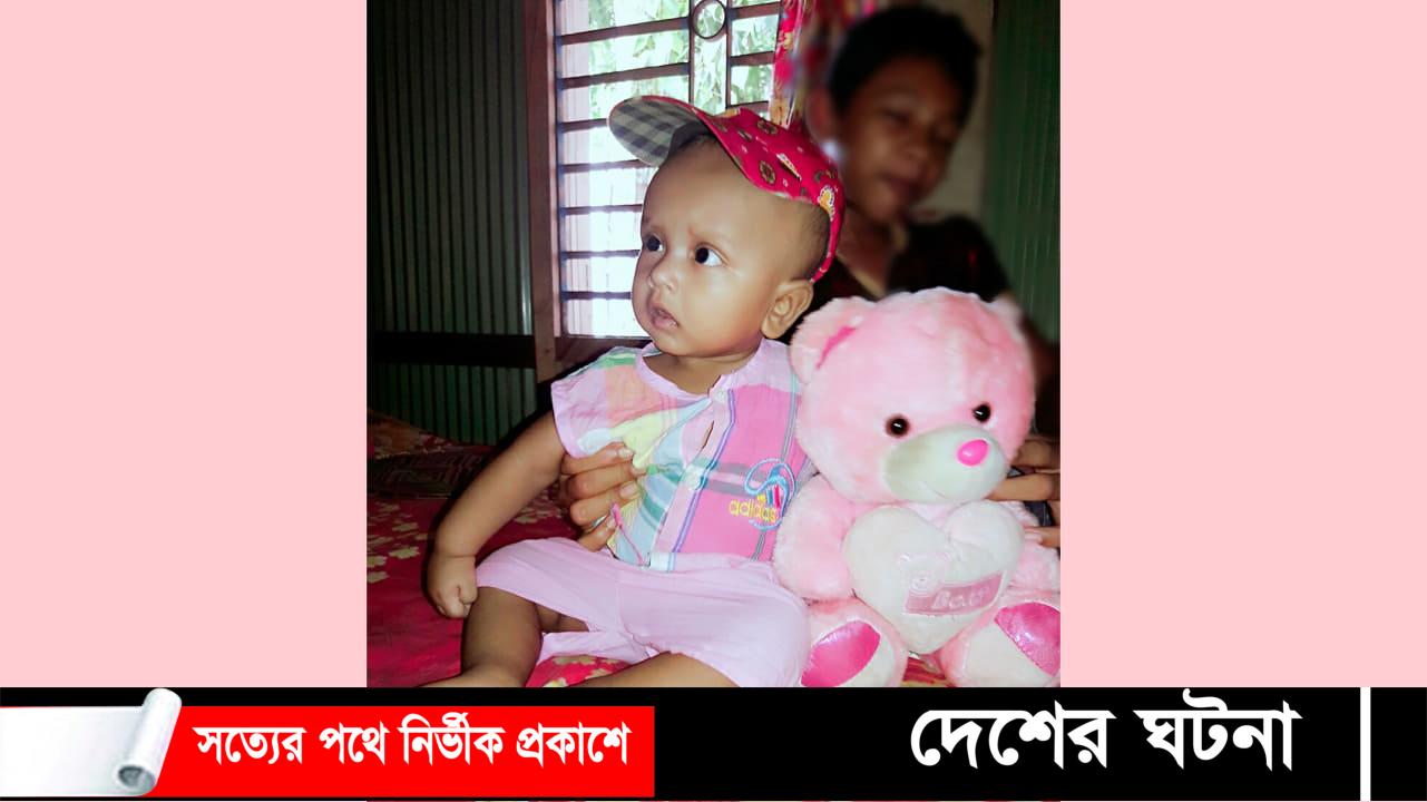 শৈলকুপায় সাপের কামড়ে দুই জনের মৃত্