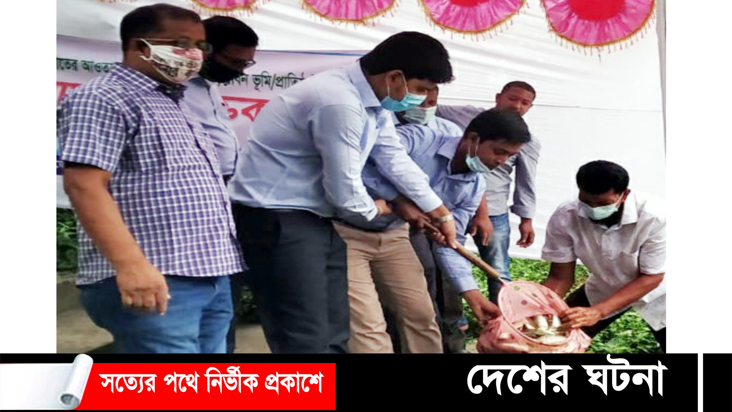 মুরাদনগর উপজেলা পরিষদ পুকুরে পোনামাছ অবমুক্ত করছেন উপজেলা নির্বাহী কর্মকর্তা অভিষেক দাশ।