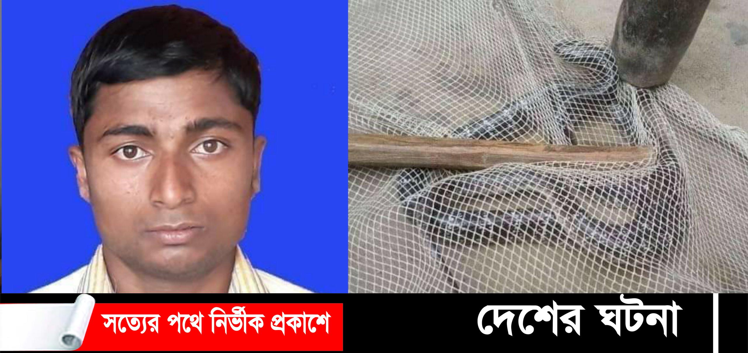 রাণীশংকৈলে বিষাক্ত সাপের কামড়ে যুবকের মৃত্যু