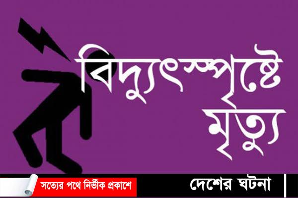জামালপুরে বিদ্যুৎপৃষ্টে পিতা-পুত্রের মৃত্যু