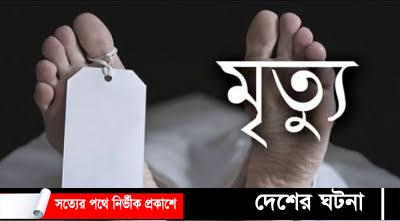 মোটরসাইকেলের ধাক্কায় বৃদ্ধার মৃত্যু