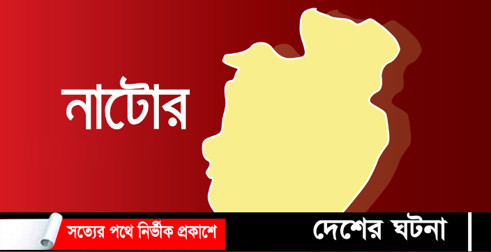 নাটোরে স্ত্রীর হাতুড়ির আঘাতে স্বামীর মৃত্যু