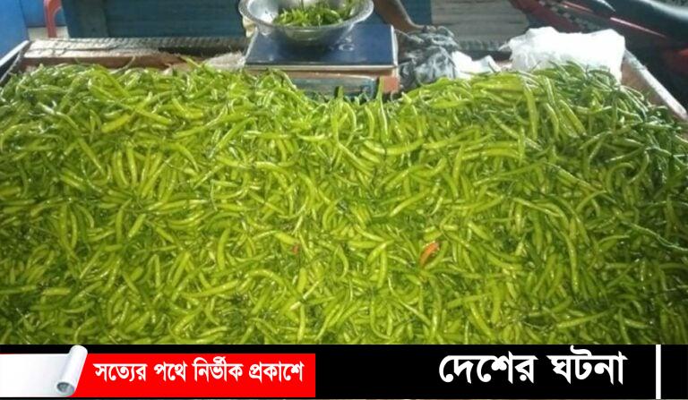 ঝালে নাকাল লক্ষ্মীপুর দু’শ টাকা কাঁচামরিচ !