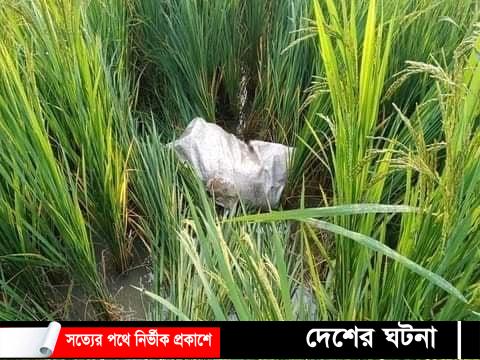 লালপুরে ৭ বছরের শিশুর বস্তাবন্দী লাশ উদ্ধার