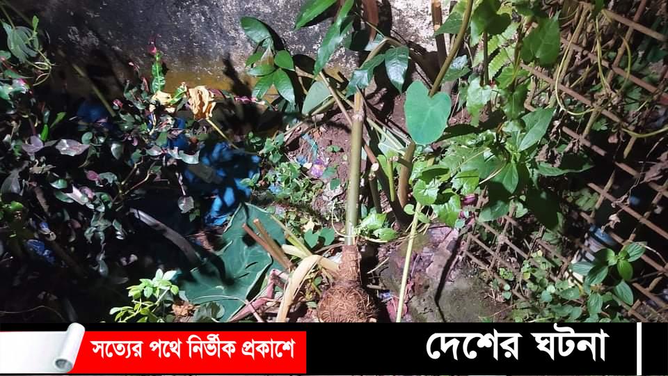 কুমিল্লায় ঝোপঝাড় থেকে হনুমানের গদা উদ্ধার