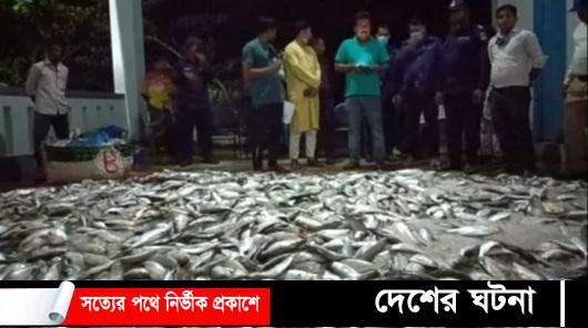 লক্ষ্মীপুরে ২০ মণ জাটকা জব্দ, আটক-৭