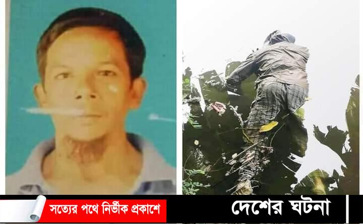 দেবীদ্বারে নিখোঁজের ৪ দিন পর রিকশাচালকের অর্ধগলিত মরদেহ উদ্ধার