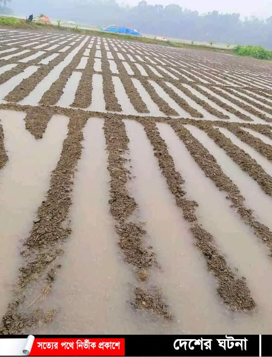 দেবীদ্বারে টানাবর্ষণে কৃষকের স্বপ্ন পানিতে তলিয়েগেছে- ২,৭৯৩ হেক্টর ফসলি জমিন
