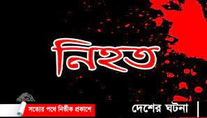 হরিনাকুণ্ডুতে সড়ক দুর্ঘটনায় শিশুকন্যা নিহত,আহত -৬