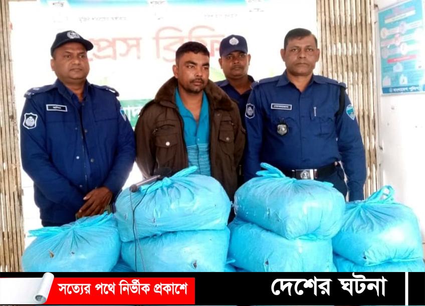 মুরাদনগরে বিশ কেজি গাঁজাসহ মাদক ব্যবসায়ী আটক