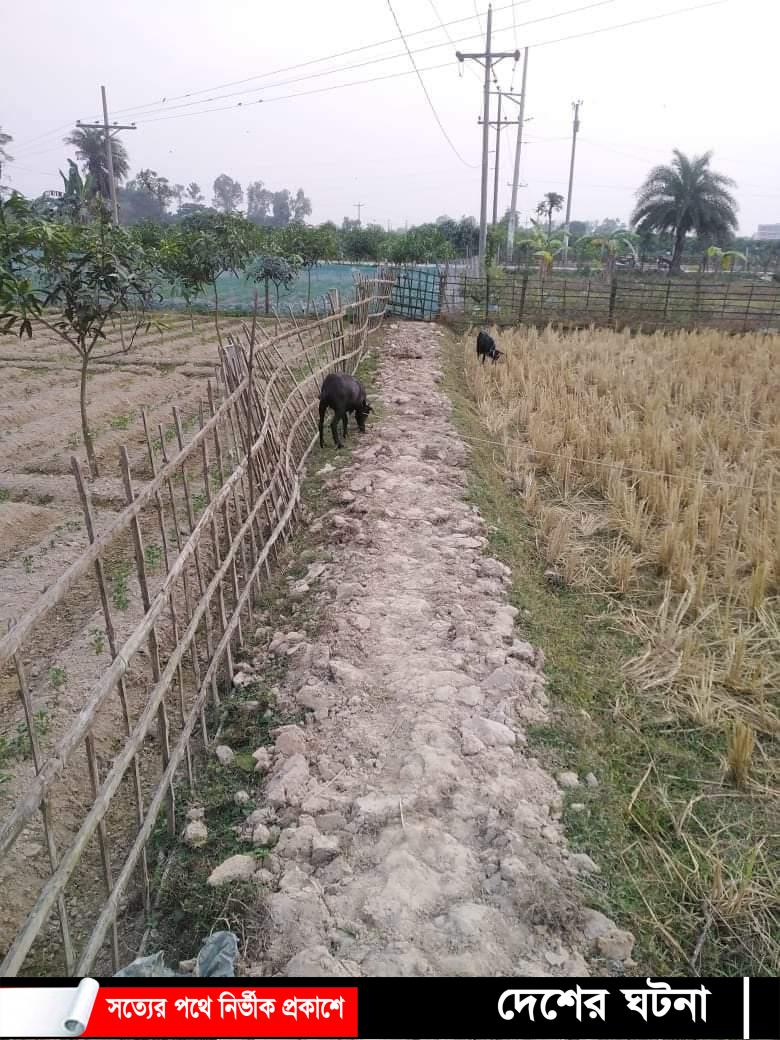 সাপাহারে জন চলাচলের রাস্তা বন্ধ করায় ভোগান্তি