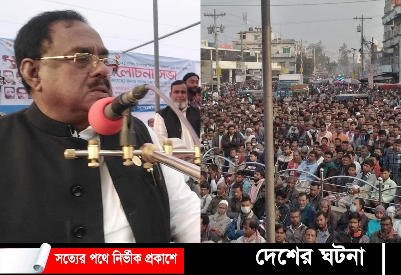 সাপাহারে শহীদ বুদ্ধিজীবী দিবস উদযাপনে হাজারো জনতার ঢল
