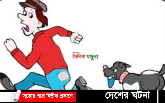 দেবীদ্বারে পাগলা কুকুরে হানা ৬ শিশু- কিশোর আহত