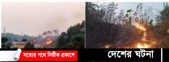 কুমিল্লা বিশ্ববিদ্যালয়ের পাহাড়ে আগুন!