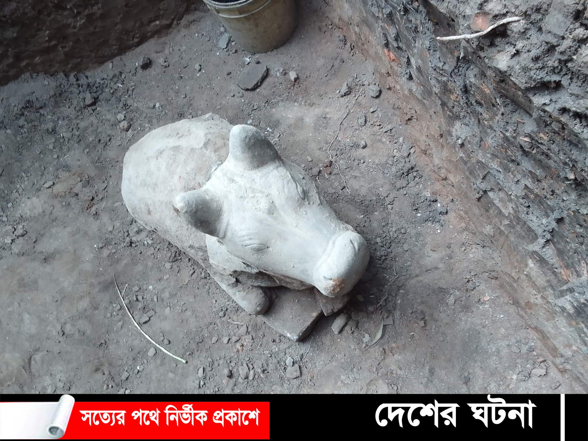 মাটির নিচ থেকে মিললো গরুর মূর্তি