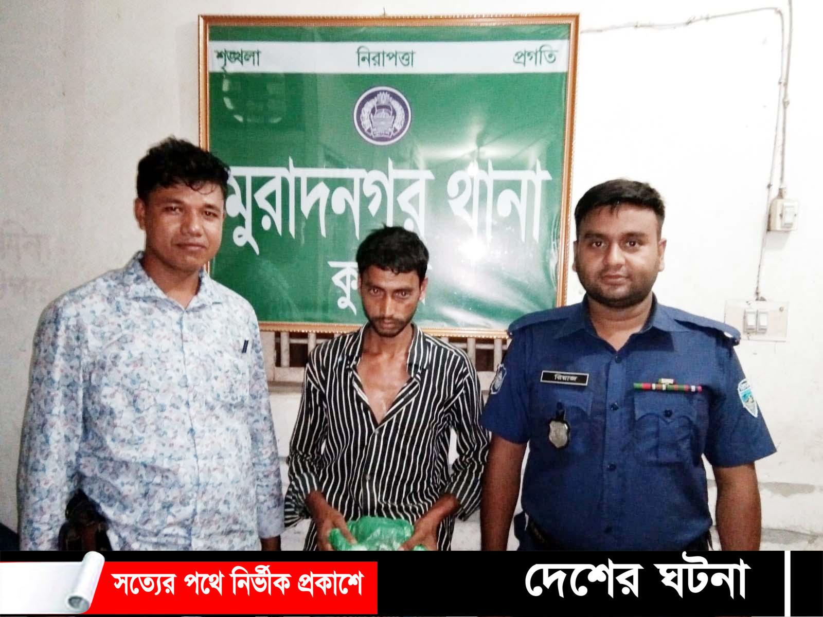 মুরাদনগরে গাঁজাসহ আটক ১