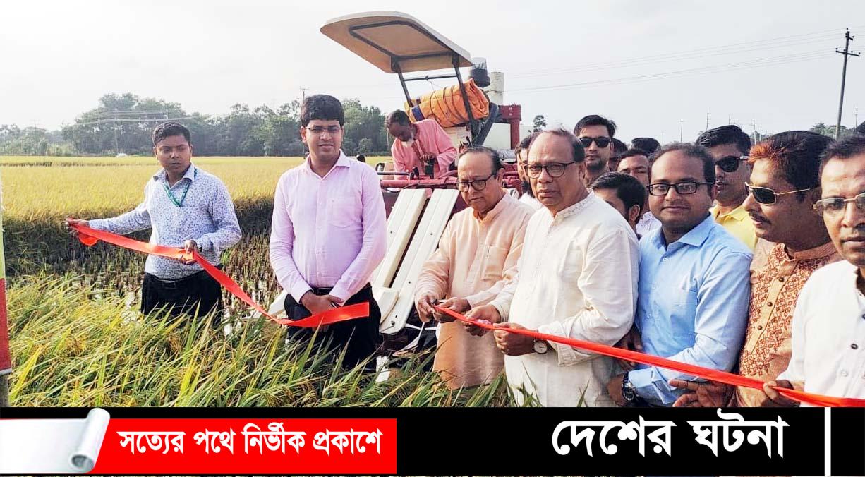 মুরাদনগরে ব্লক প্রদর্শনীর বোরো ধান কর্তনের শুভ উদ্বোধন