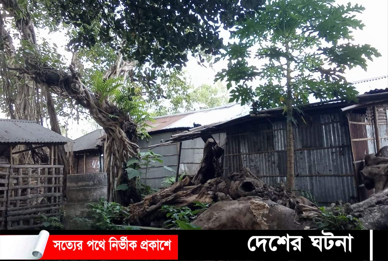 অবৈধ স্থাপনা আর দখলদারিত্বে ধরেয়া বাজার টিতে ব্যবসা করতে আগ্রহ হারাচ্ছে স্থানীয় ব্যবসায়ীরা