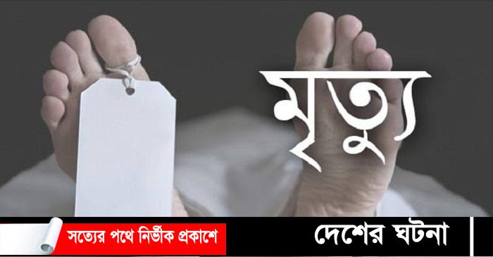 ভালুকায় জাম পাড়তে গিয়ে গাছ থেকে পড়ে মহিলার মৃত্যু