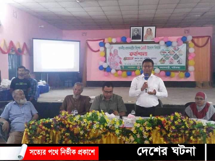 পলাশবাড়ীতে প্রধানমন্ত্রীর বিশেষ ১০ টি উদ্ভাবনী উদ্যোগ বিষয়ক কর্মশালা অনুষ্ঠিত