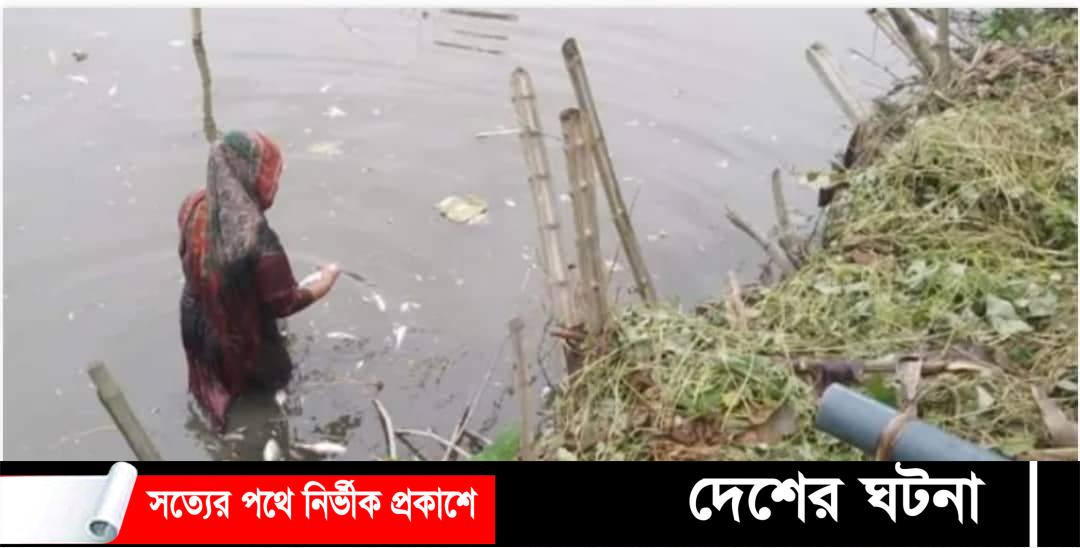 শেরপুরে মাছের সঙ্গে এ কেমন শত্রুতা