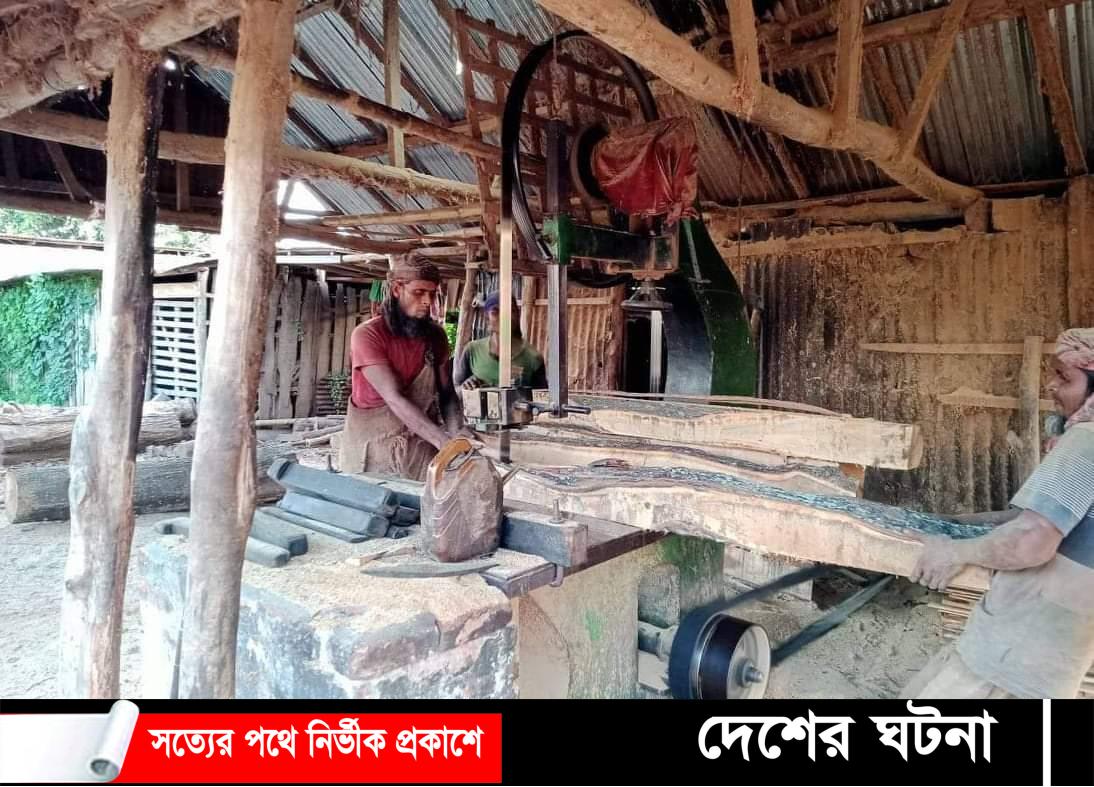 নওগাঁর সাপাহারে অবৈধভাবে চলছে ২২টি স’মিল!