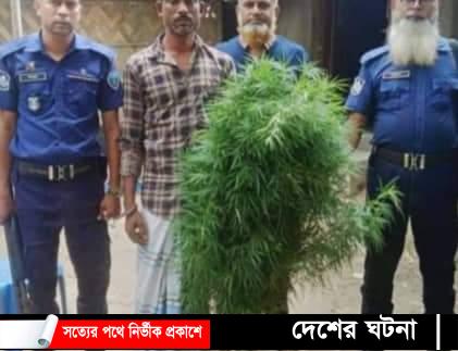 কক্সবাজারের কুতুবদিয়ায় গাজাঁচারা সহ আটক ১