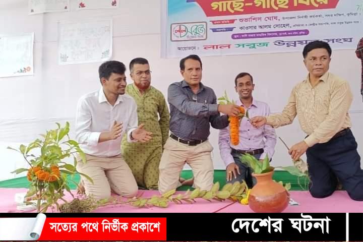 কুমিল্লায় গাছে-গাছে বিয়ে!