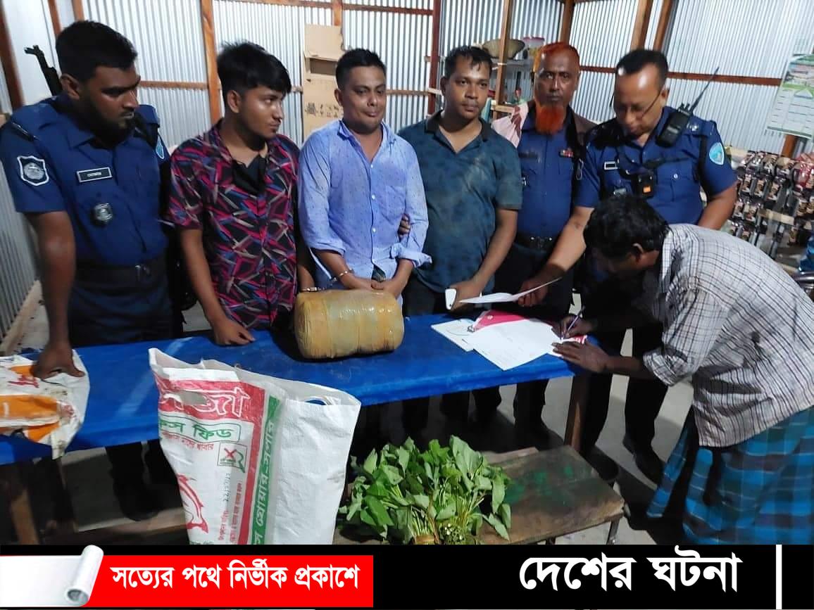 হোমনায় ৩কেজি গাঁজাসহ দুই গাঁজা ব্যাবসায়ী আটক