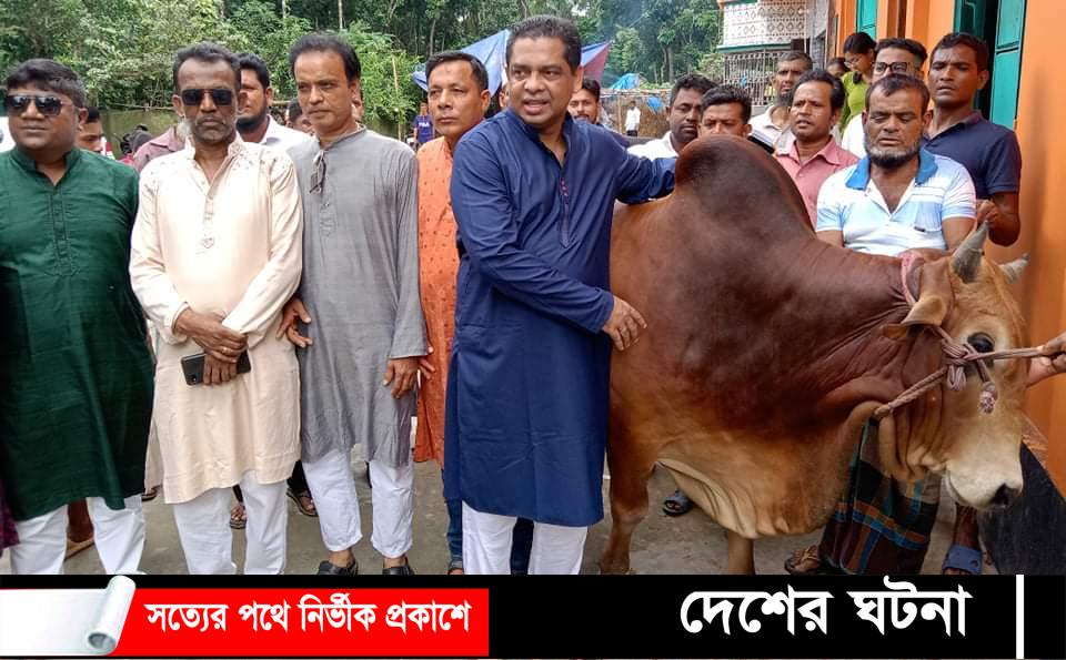 নড়াইলে ১৪ বছর ধরে বঙ্গবন্ধু ও তার পরিবারের নামে গরু কোরবানি