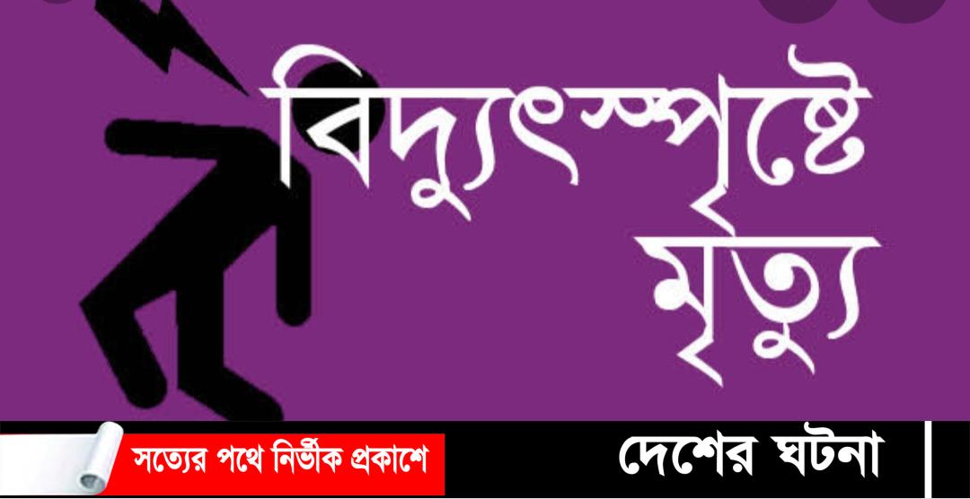 পলাশবাড়ীতে ফ্যানের সংযোগে বিদ্যুৎস্পৃষ্ট একজনের মৃত্যু