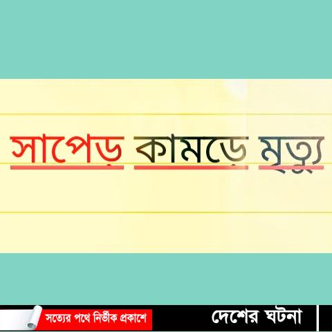 শেরপুরে সাঁপেকাটা রোগীকে কবিরাজের ঝাড়ফুঁক শেষে মৃত্যু