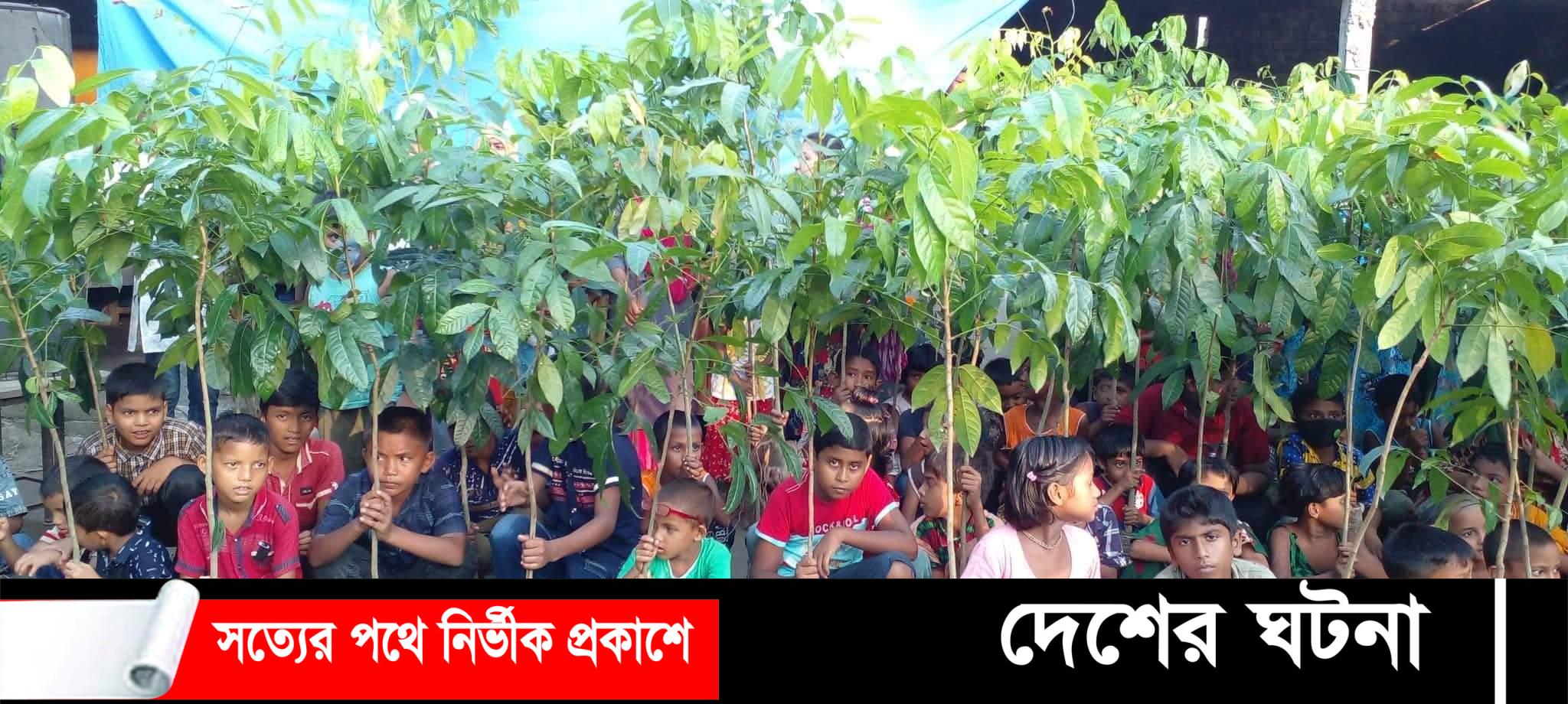 ডোমারে ভিলেজ কেয়ার গ্রুপের আয়োজনে জাতীয় শোক দিবসে বৃক্ষ রোপন