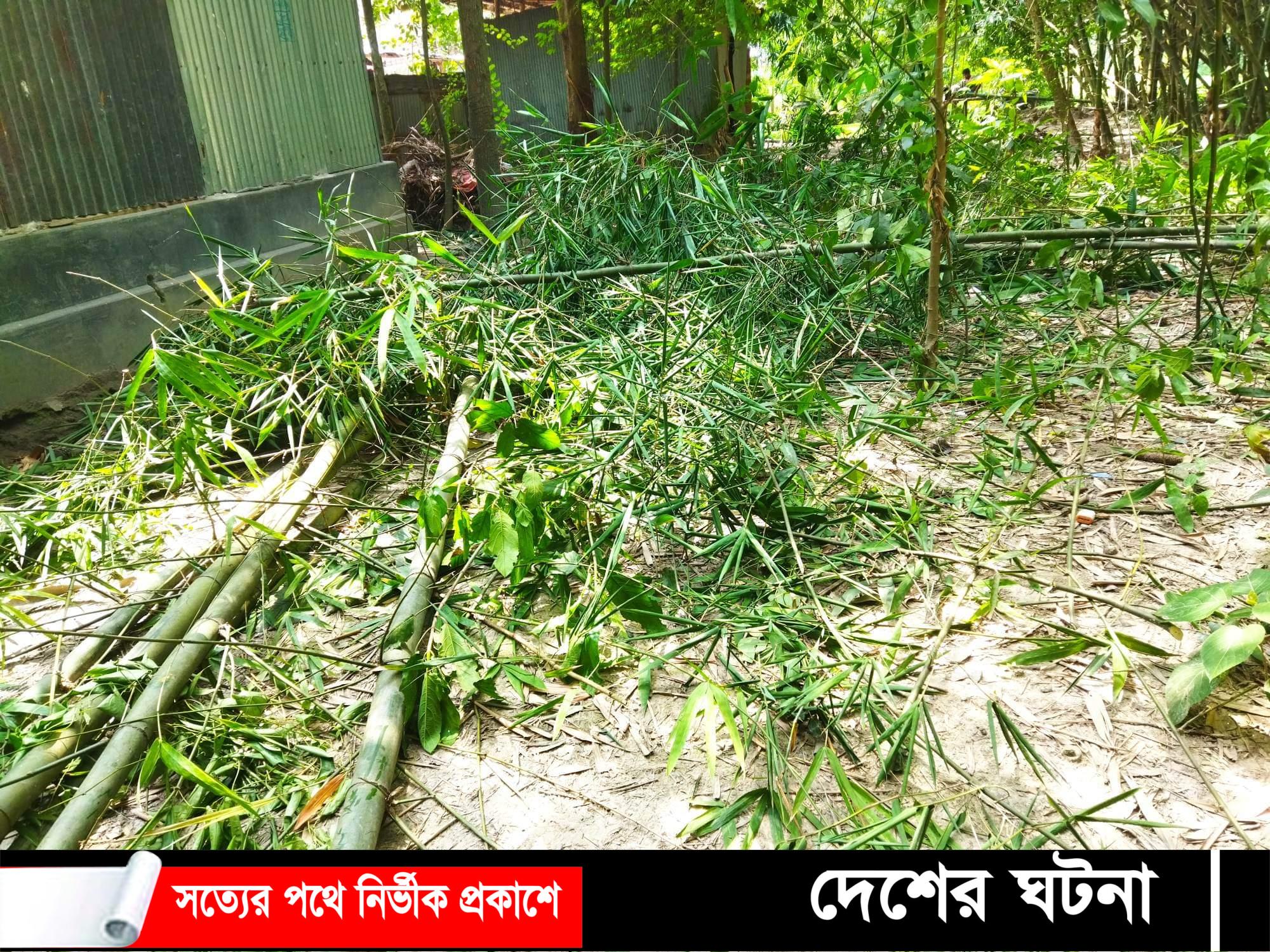 শাজাহানপুরে পুর্ব শত্রুুতার জের ধরে বাঁশঝার কেটে ফেলার অভিযোগ