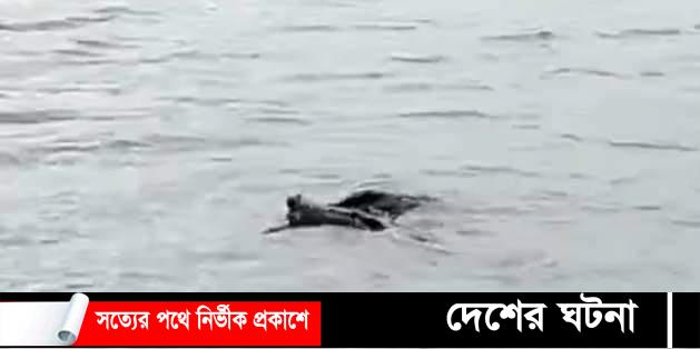 ভদ্রা নদীতে কুমিরের আগমন! সবাইকে সাবধান করলেন- এমপি নারায়ন চন্দ্র