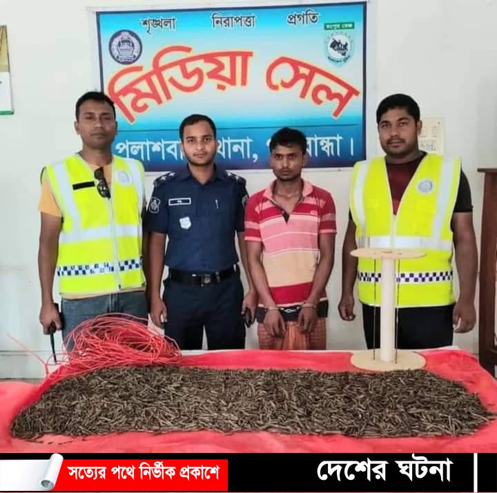 বিপুল পরিমাণ গাঁজা’সহ পলাশবাড়ীতে এক মাদক কারবারি গ্রেফতার