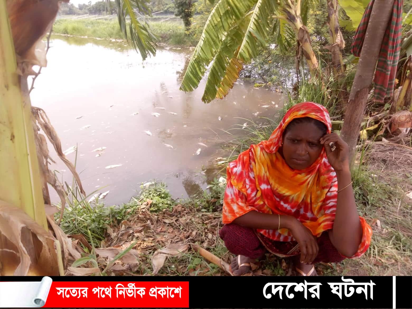 ঘেরে বিষ দিয়ে দুই লাখ টাকার ক্ষতি