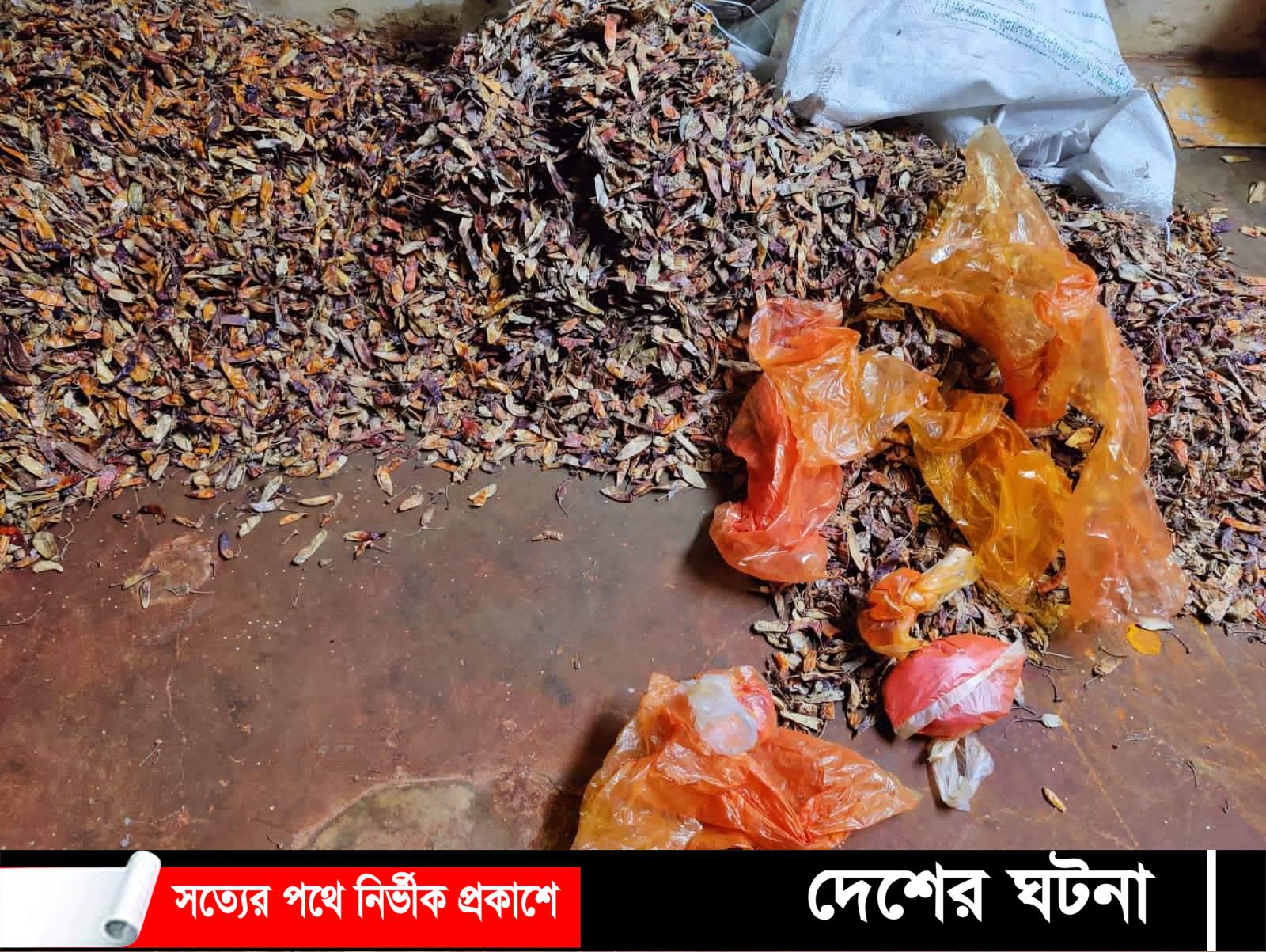 পাবনার ঈশ্বরদীতে পচাঁ মরিচে রং মিশিয়ে বাজারজাত করায় জরিমানা করলো ভোক্তা অধিকার