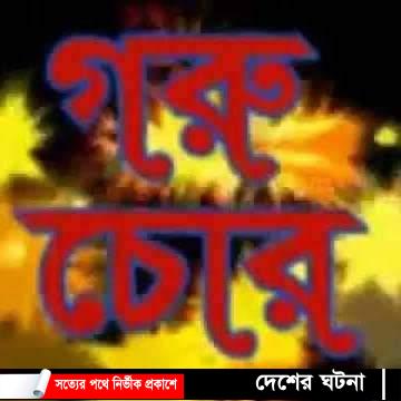 নড়াইলের কালিয়ায় আন্তজেলা গরুচোর চক্রের ৫ সদস্য গ্রেফতার
