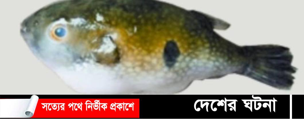 খুলনায় পটকা মাছ খেয়ে মা-ছেলের মৃত্যু,অসুস্থ ১