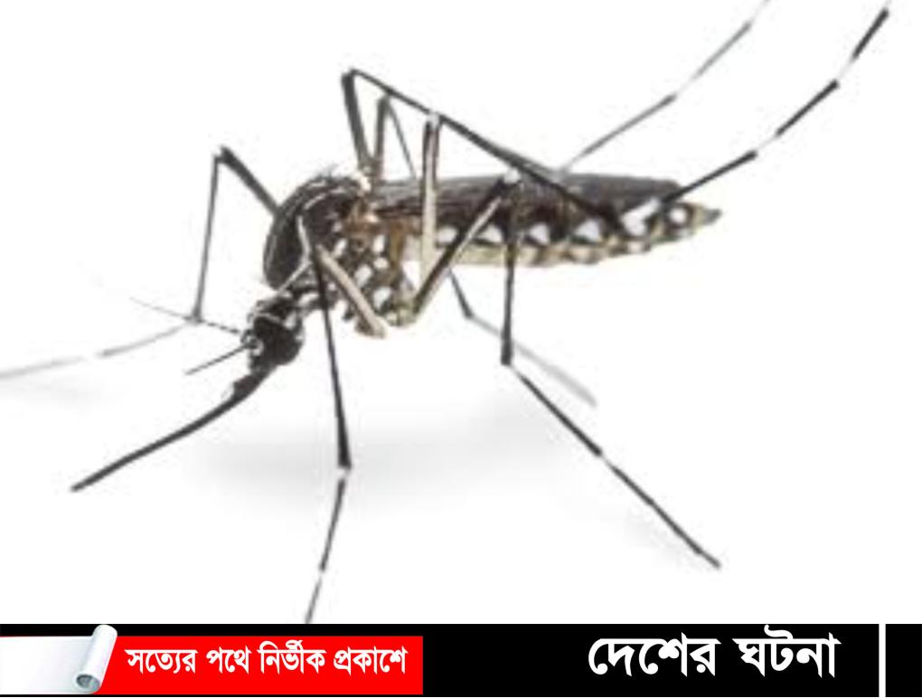 খুমেক হাসপাতালে বেড়েছে ডেঙ্গু রোগী, ৩ দিনে দ্বিগুণ ভর্তি