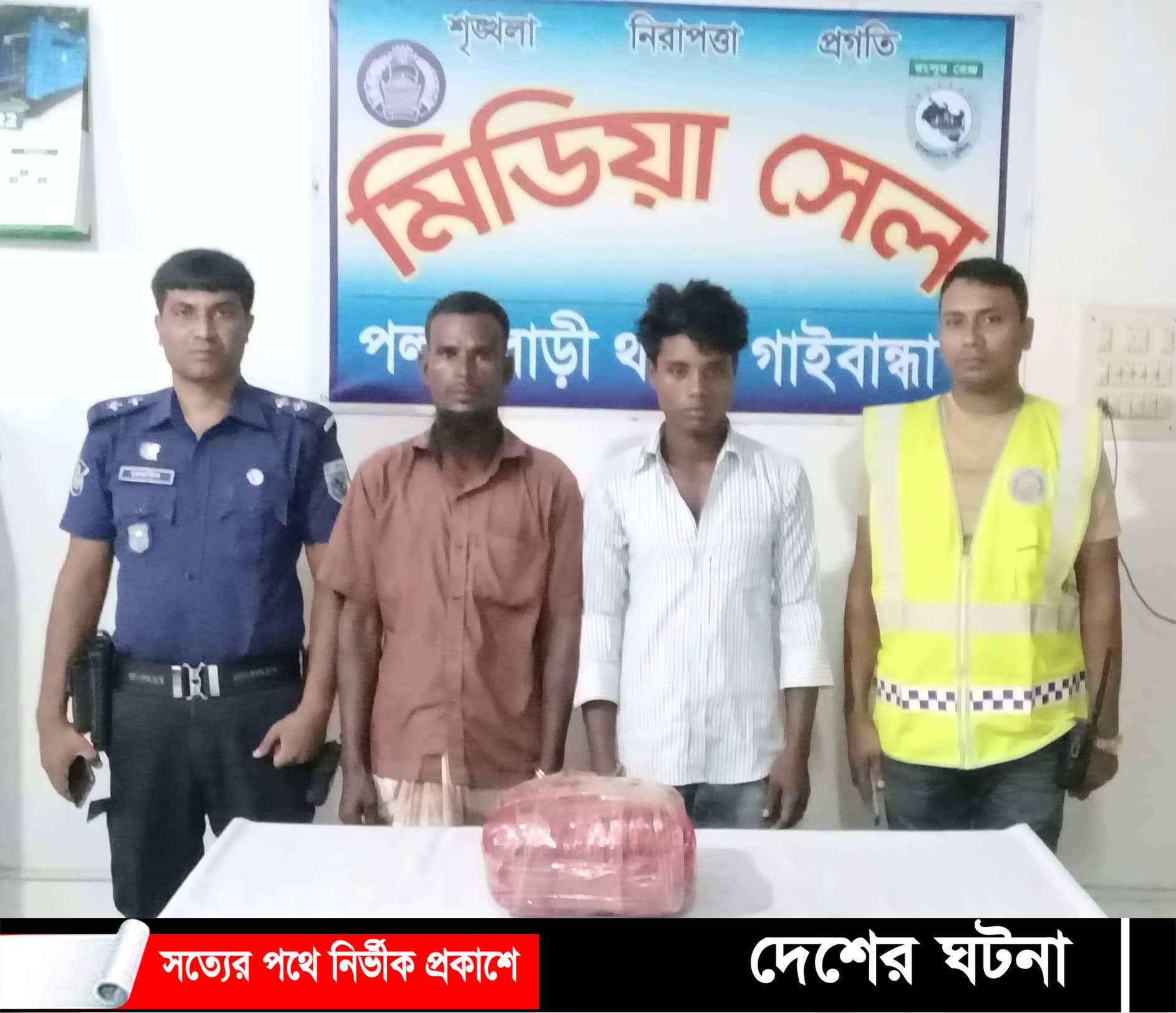 পলাশবাড়ীতে ৫ কেজি গাঁজাসহ গ্রেফতার ২