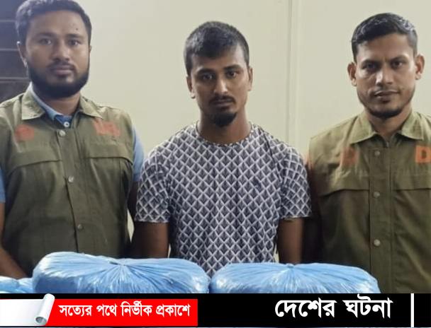 কুমিল্লায় ১৪ কেজি গাঁজাসহ এক যুবক ডিবির হাতে আটক