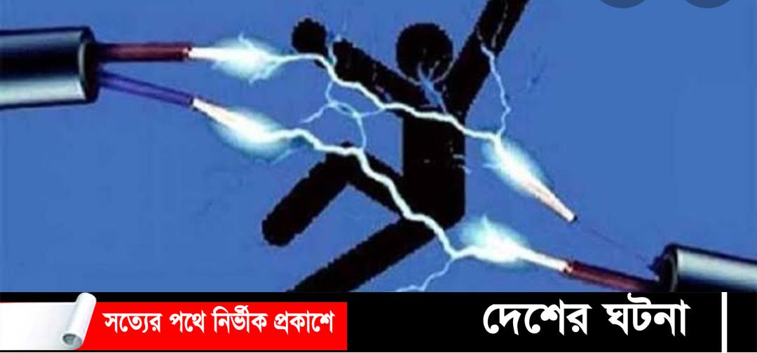 শেরপুরে প্রতিমা বিসর্জনের সময় বিদ্যুৎ পৃষ্টে যুবকের মৃত্যু
