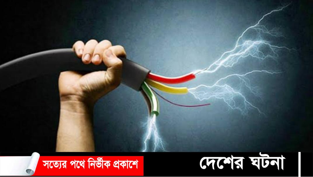 ধানখেতে ইঁদুর মারার ফাঁদে বিদ্যুৎস্পৃষ্টে প্রবাসীর মৃত্যু