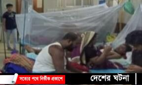 কুমিল্লা জেলায় বাড়ছে ডেঙ্গুর প্রকোপ,হাসপাতালে রোগীর চাপ